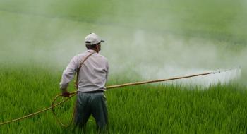 На Вінниччині склади з непридатними пестицидами промаркують спецзнаками Рис.1