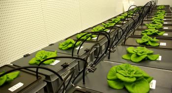 Норвежскі вчені розробляють технології для вирощування рослин в космосі Рис.1