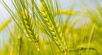 «Органічний» Закон: В Україні буде запроваджено механізм державного контролю у сфері органічного виробництва Рис.1