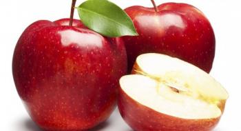 Початок сезону експорту нового врожаю яблук для українських виробників є оптимістичним Рис.1