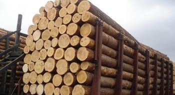 Рада ухвалила закон про збереження лісів без норми про заборону експорту дров Рис.1