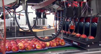 Robotics Plus презентував повністю автоматизований пакувальний комплекс для яблук Рис.1