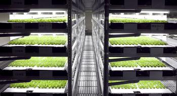 Стартап розробив ШІ-фермера для управління «фабрикою рослин» Рис.1