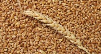 Світове виробництво зернових може сягнути нового історичного максимуму Рис.1