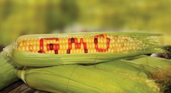 Торгова війна Китаю і США завершується перемогою ГМО Рис.1
