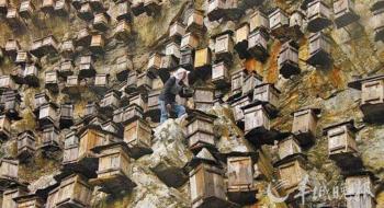 У Китаї побудували хмарочос для бджіл Рис.1