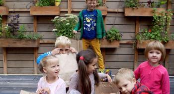 У київських дитсадках та школах дітей навчатимуть фермерству Рис.1