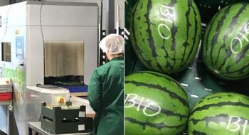 У Німеччині почали маркувати лазером фрукти та овочі