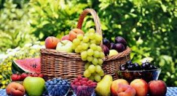 Україна б’є рекорди в експорті плодово-ягідної продукції Рис.1