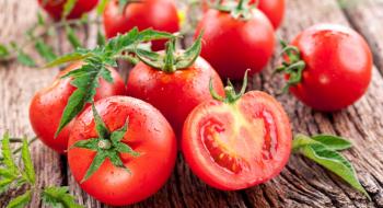Україна експортувала мінімальний обсяг томатів за останні 12 років Рис.1