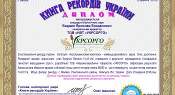 Україна має рекордсмена по урожаю сорго Рис.1