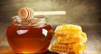 Україна скоротила експорт меду на 43% Рис.1