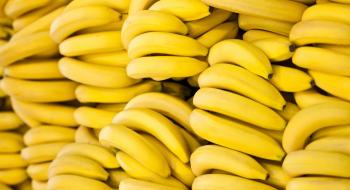 Україна з часом зможе вирощувати банани Рис.1