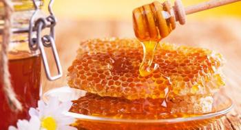Україна за 10 років збільшила експорт меду у 20 разів Рис.1
