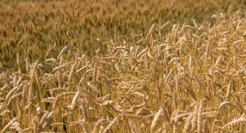 Урожай-2018: Аграрії зібрали 67,6 млн тонн зерна Рис.1