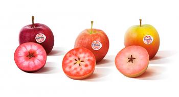 Урожай яблук з червоною м'якоттю зібрали в Південній півкулі Рис.1