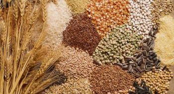 В Україні буде вдосконалено процес державної реєстрації сортів рослин Рис.1