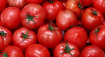 В Україні почався сезон продажів турецького томату Рис.1
