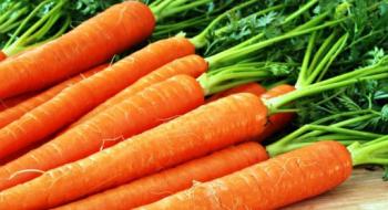 В Україні різко здешевшала морква Рис.1