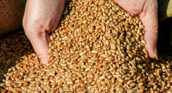 В українських портах Азовського моря впали ціни на пшеницю Рис.1