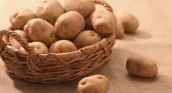 Вчені розробили препарат для боротьби з картопляною нематодою Рис.1