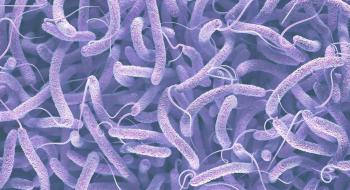 Вчені вперше побачили, як бактерії отримують стійкість до антибіотиків Рис.1