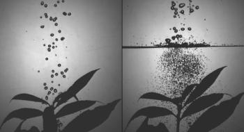 Вчені запропонували простий більш ефективний спосіб внесення пестицидів Рис.1