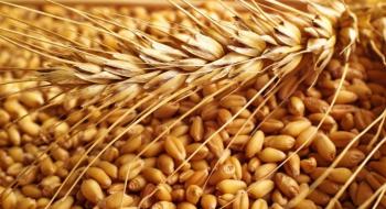 Виконання зернового Меморандуму забезпечено на понад 36% і відповідає запланованій динаміці Рис.1