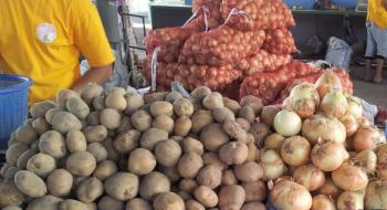 Європа шукає в Україні картоплю і цибулю для Африки Рис.1