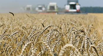  Завершується збирання урожаю-2018: Намолочено 69,3 млн тонн Рис.1