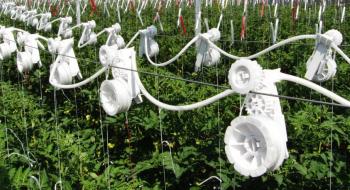 Зменшення потреби в робочій силі на 90% – автоматична система регулювання висоти рослин Рис.1