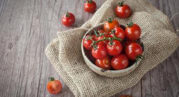 12 найкращих рослин для вирощування разом з томатами Рис.1