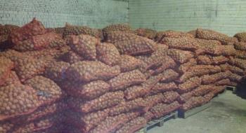 Особливості зберігання бульб насіннєвої картоплі Рис.1