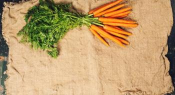 Як посадити моркву і мішковина замість мульчі Рис.1