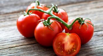 Чим підгодувати помідори під час цвітіння для хорошого урожаю Рис.1