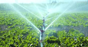 Сучасні системи для аграріїв та садівників для ефективного зрощення Рис.1