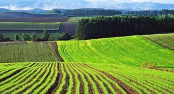 Земельна реформа в дії: найважливіші питання про зміни у сфері землеустрою Рис.1