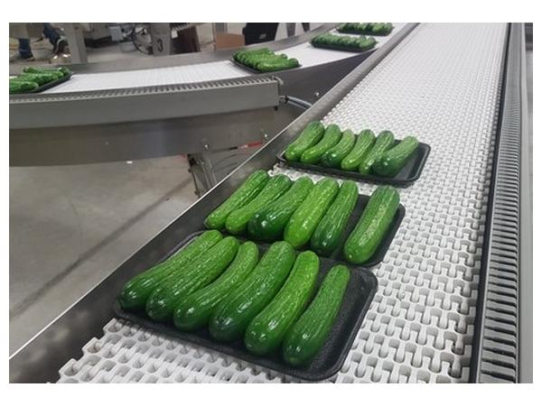Робот зрізає огірки гарячим лезом: нова розробка для овочівників Рис.4