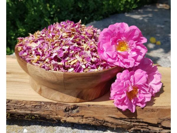 Що може дати чайна роза українським аграріям? Рис.2
