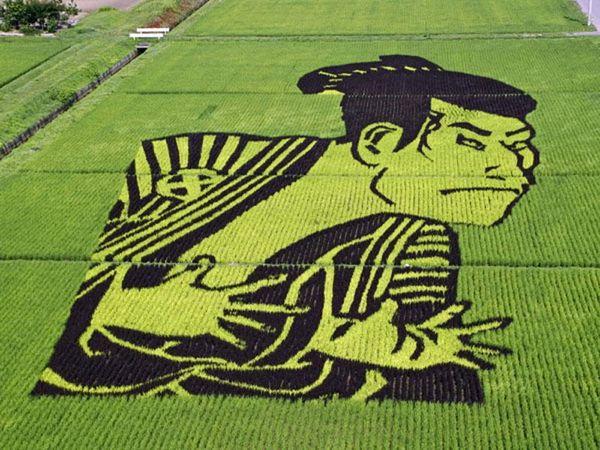 Талановиті фермери Японії: приголомшливі картини на рисових полях Рис.4