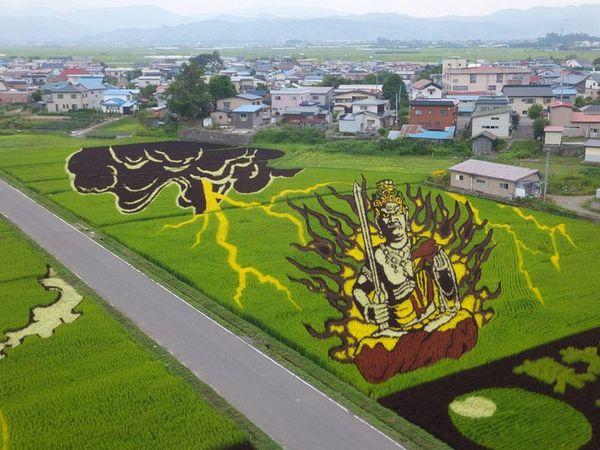 Талановиті фермери Японії: приголомшливі картини на рисових полях Рис.5