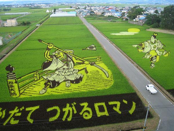 Талановиті фермери Японії: приголомшливі картини на рисових полях Рис.7