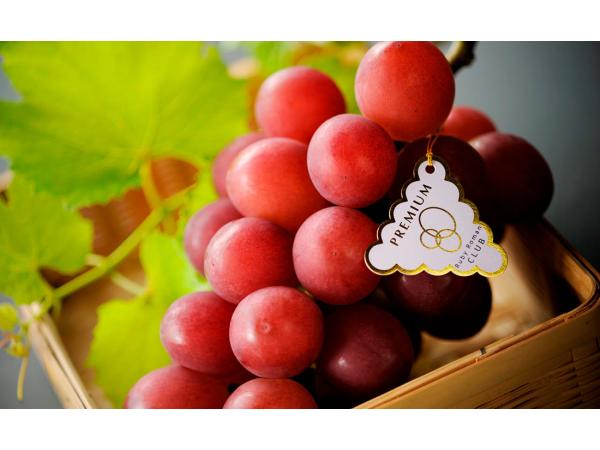 Найдорожчий виноград у світі Рис.5