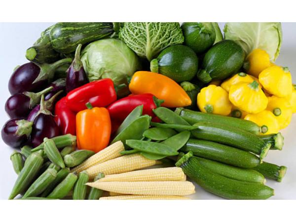 Бебі-овочі – нова ніша для фермерського бізнесу Рис.2
