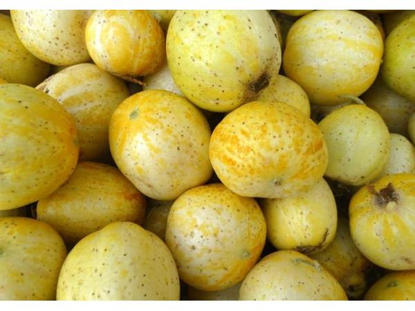 Лимонний огірок - що це за дивина? Рис.2