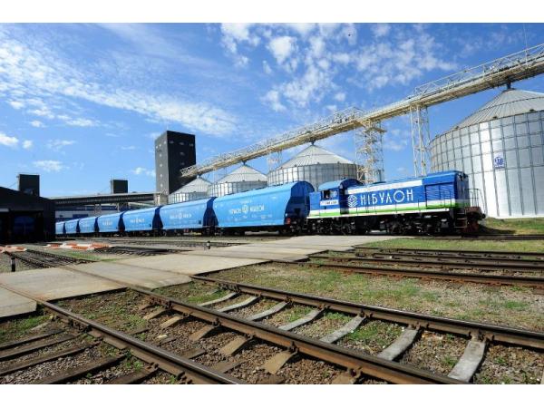 НІБУЛОН придбав маневровий локомотив для станції Миколаїв Рис.2