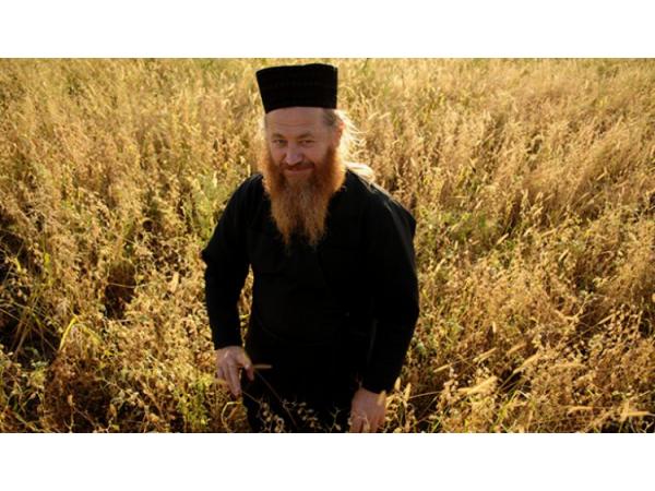 Органічне господарство з Вінниччини вирощує унікальну чорну пшеницю української селекції Рис.2