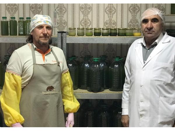 В Україні виробляють зелений мед Рис.2