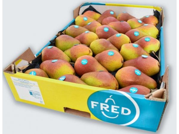 Бельгійська організація BelOrta представила грушу Fred® Рис.2