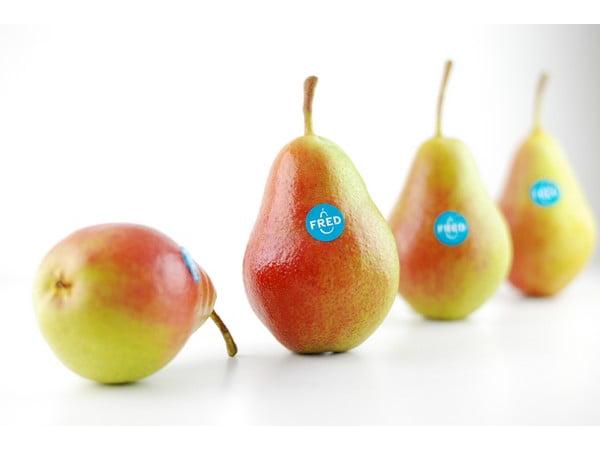 Бельгійська організація BelOrta представила грушу Fred® Рис.3